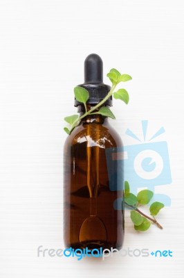 A Bottle Of Oregano Essential Oil With Fresh Oregano Leaves On W… Stock Photo