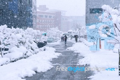 A Fast-moving Snowstorm Arrived In The South Korea Area Stock Photo