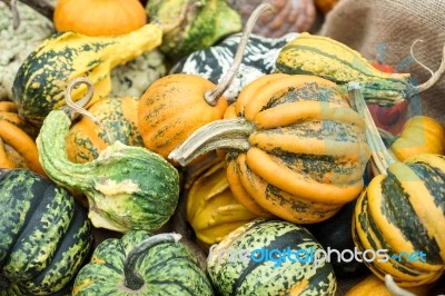 A Group Of Colourful Gourds In Friedrichsdorf Stock Photo