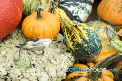 A Group Of Colourful Gourds In Friedrichsdorf Stock Photo