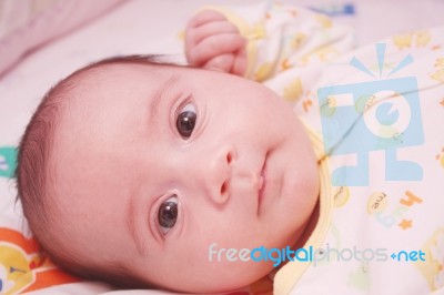 A New Baby Stock Photo
