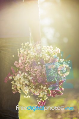 A Romantic Couple Holding Valentines Gift And Flowers, Vintage T… Stock Photo