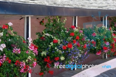 A Row Of Hanging Baskets Stock Photo