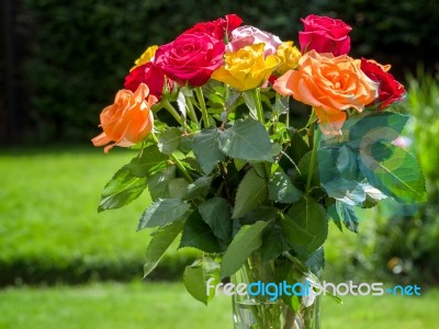 A Vase Of Colourful Roses Out In The Garden Stock Photo