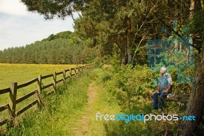 A Well Earned Rest Stock Photo