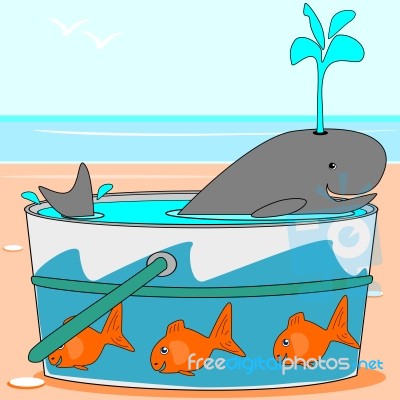 A Whale Swimming In A Pail Stock Image
