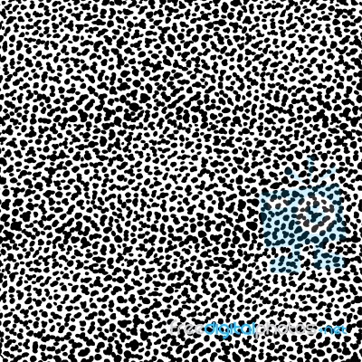Abstract Background Black Dots- Background Design Stock Image