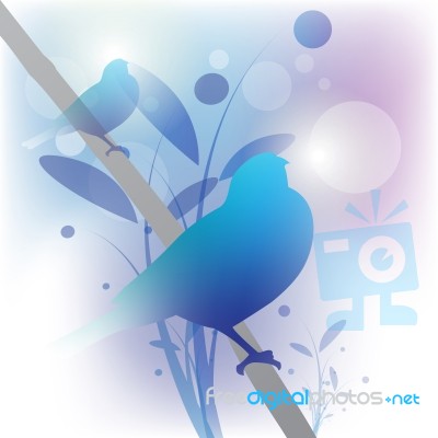 Abstract Bird Background Stock Image