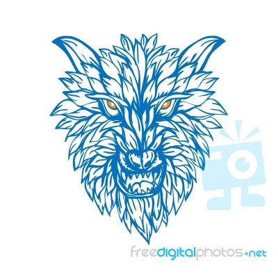 Abstract Blue Outline A Ferocious Wolf Illustration Stock Image