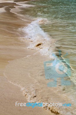 Abstract Foam In The  Bay Coastline    South China Sea Stock Photo