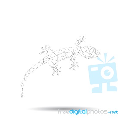 Abstract Geckos Isolated On A White Backgrounds Stock Image