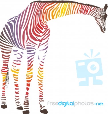 Abstract Giraffe With Zebra Skin Stock Image