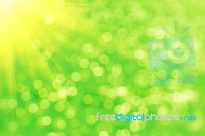 Abstract Green Bokeh And Sunligt Background Stock Photo