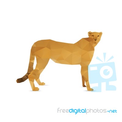 Abstract Lion Stock Image