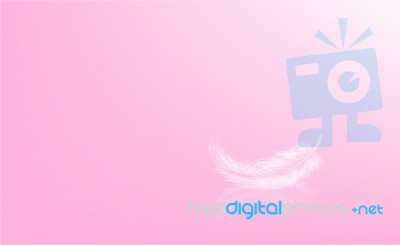 Abstract Pink Have Feather On Background Stock Image