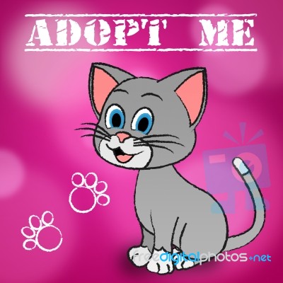 Adopt Cat Indicates Adoption Felines And Pet Stock Image
