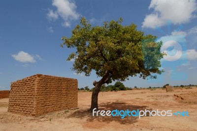 Africa Stock Photo