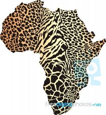 Africa In Animal  Camouflage Stock Image