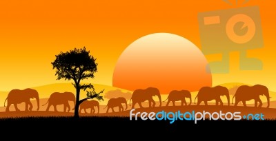 Africa Safari Stock Image