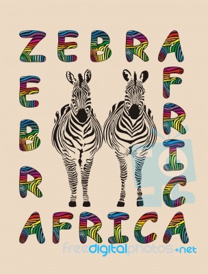 Africa - Zebras Background Stock Image