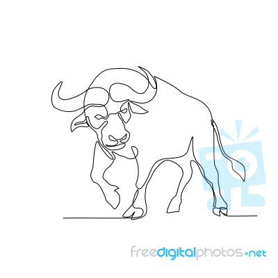 African Buffalo Continuous Line Stock Image