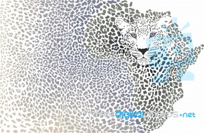 African Leopard - Background Of The Continent Map Stock Image