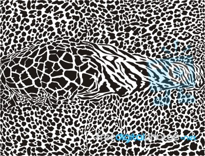African Leopard Pattern Stock Image