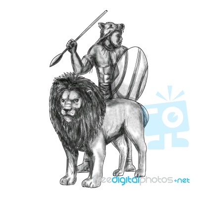 African Warrior Spear Lion Tattoo Stock Image