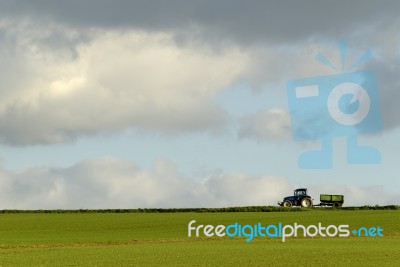 Agricultural  Stock Photo