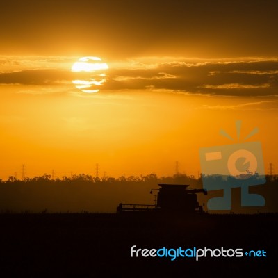 Agriculture Machine Harvesting Field Stock Photo