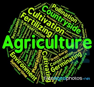 Agriculture Word Representing Farms Farm And Cultivates Stock Image