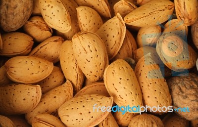 Almonds Close Up Isolated  Stock Photo