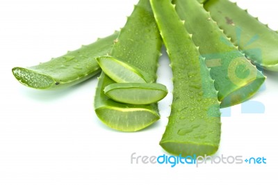 Aloe Vera Stock Photo