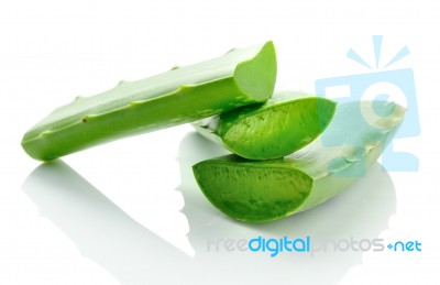 Aloe Vera Fresh Leaf. Isolated Over White Stock Photo Aloe Vera Fresh Leaf. Isolated Over White Stock Photo