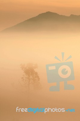 Alone Stock Photo