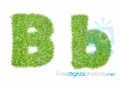 Alphabet From The Green Grass. Isolated On White Stock Photo