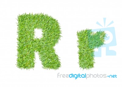 Alphabet From The Green Grass. Isolated On White Stock Photo