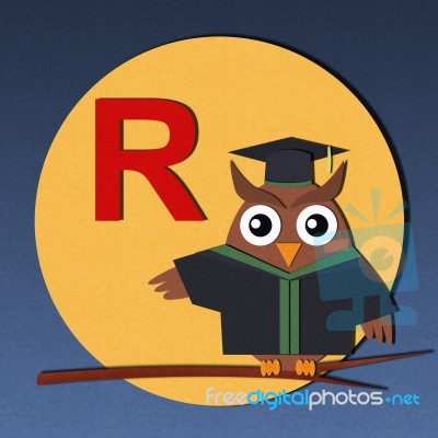 Alphabet R And Graduates Owl Stock Image