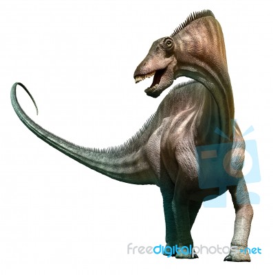 Amargasaurus Stock Image