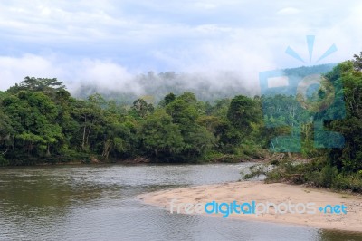 Amazon, View Of The Tropical Rainforest, Ecuador Stock Photo