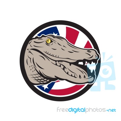 American Alligator Usa Flag Icon Stock Image