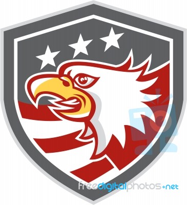 American Bald Eagle Head Flag Shield Retro Stock Image