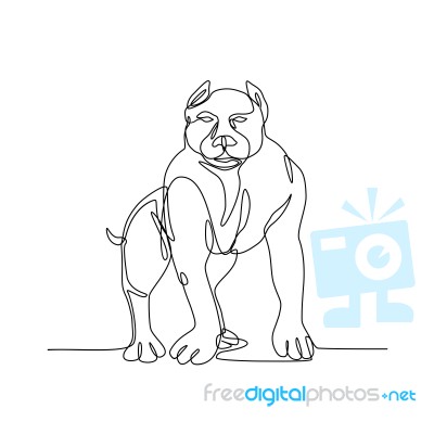 American Bully Continuous Line Stock Image