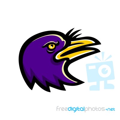 American Crow Head Mascot Stock Image