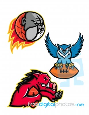 American Football And Basketball Wildlife Sports Mascot Collection Stock Image