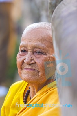 An Unidentified Old Buddhist Female Monk Dressed In Yellow Toga Stock Photo