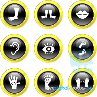 Anatomy Icons Stock Image