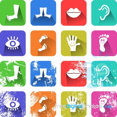 Anatomy Icons Stock Image