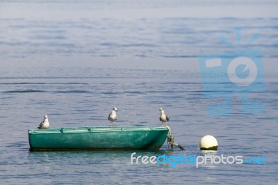 Anchored Traditional Fishing Boat With Three Seagulls Stock Photo