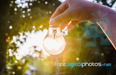 And Holding A Light Bulb With Sunset Power Concept Stock Photo